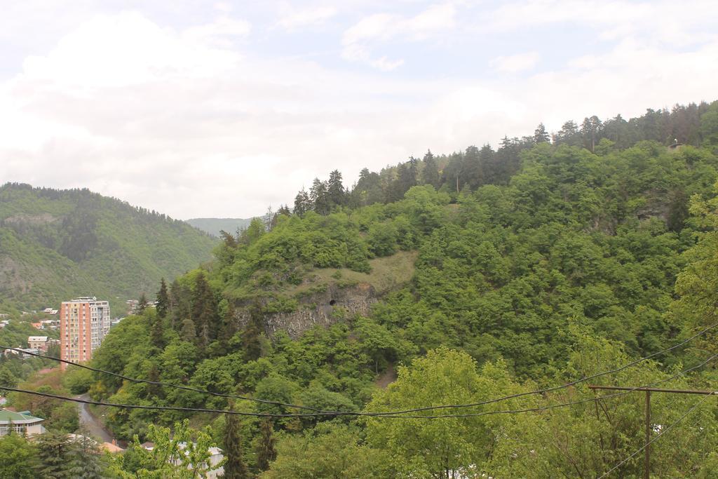Anastasia Guesthouse Borjomi Exterior foto